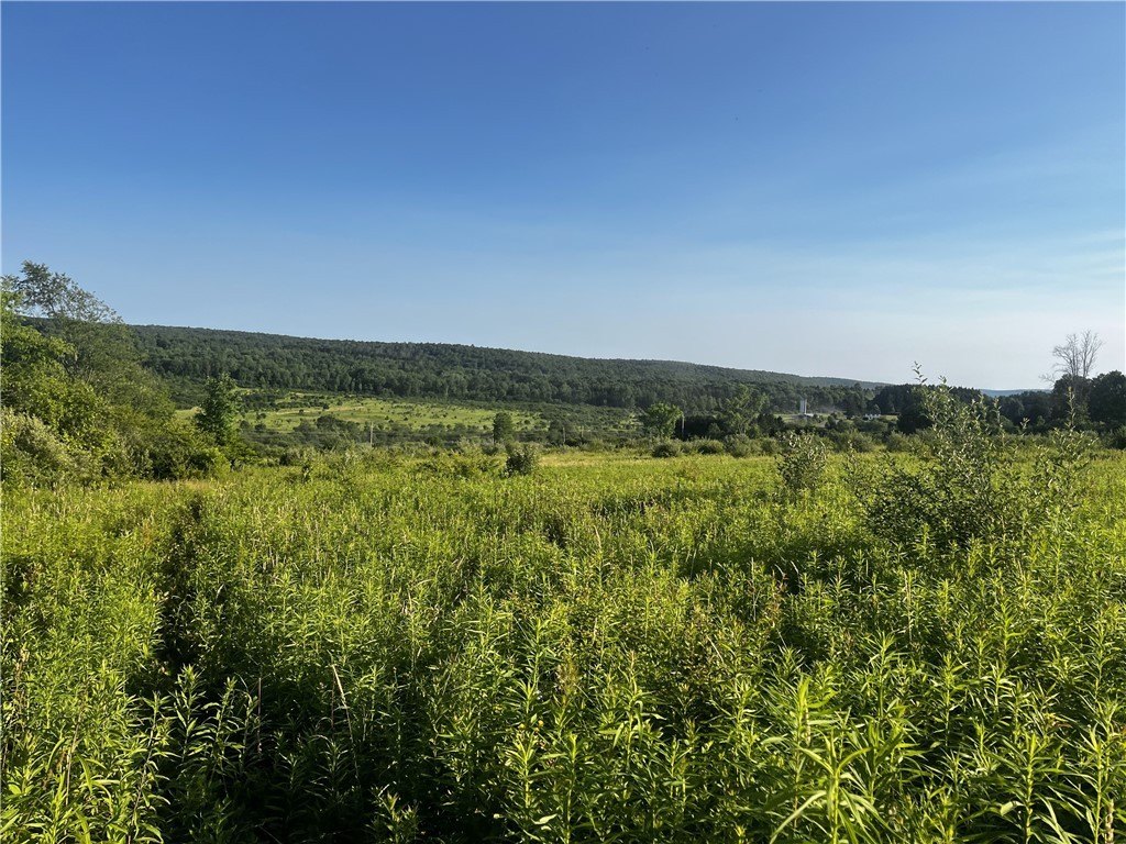 Picture 20