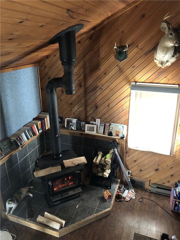 Picture 25