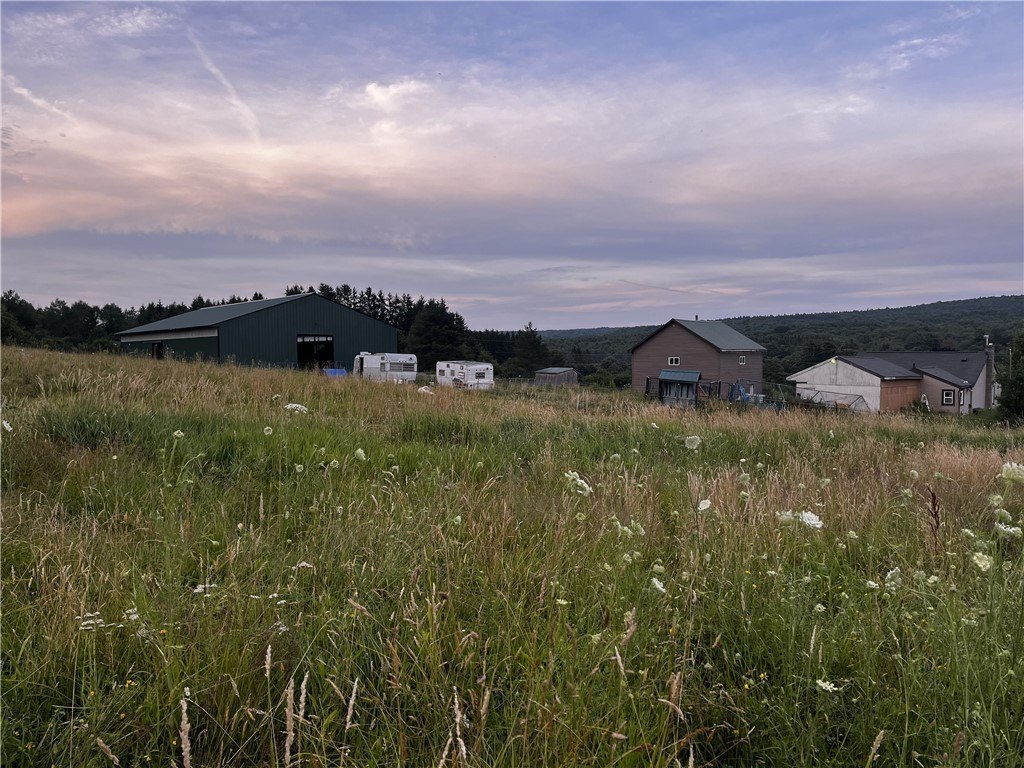 Picture 46