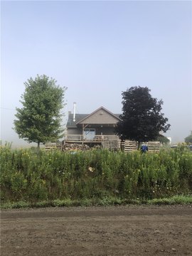 Land, Angelica, NY