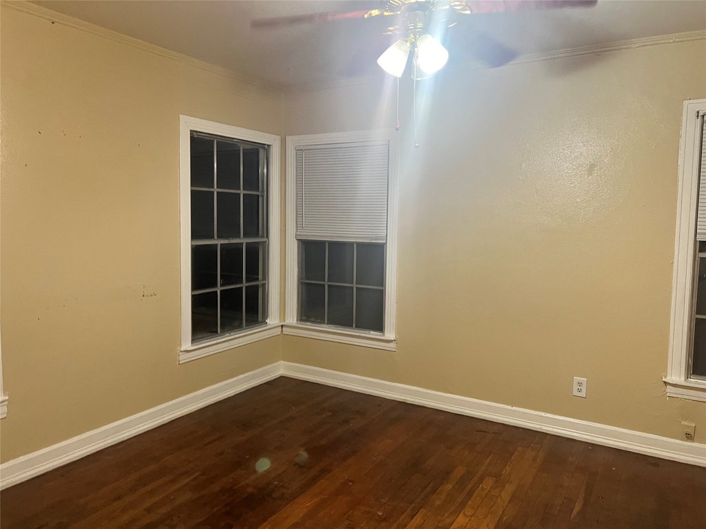 Picture 29