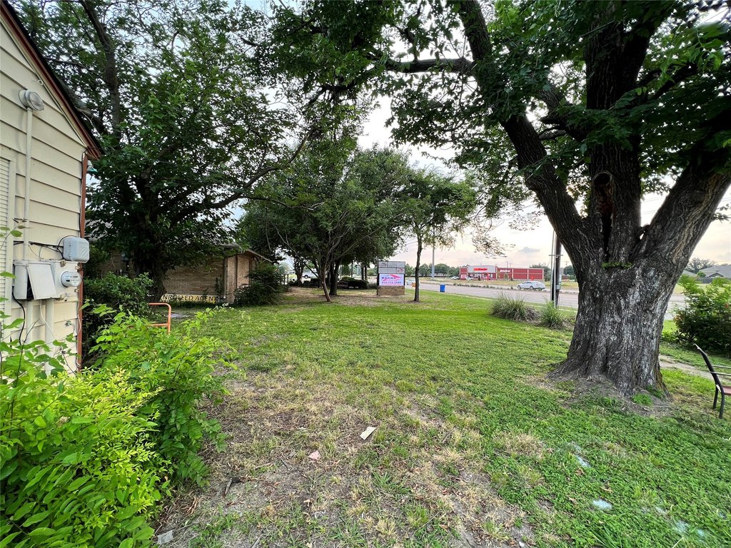 Picture 37