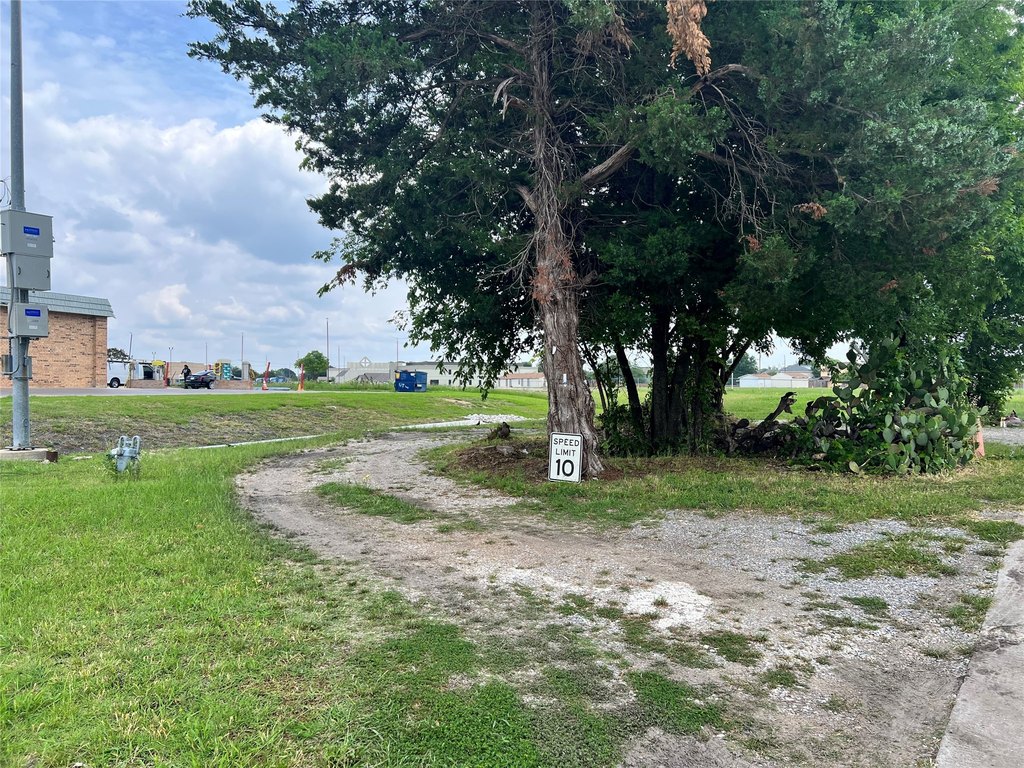 Picture 20