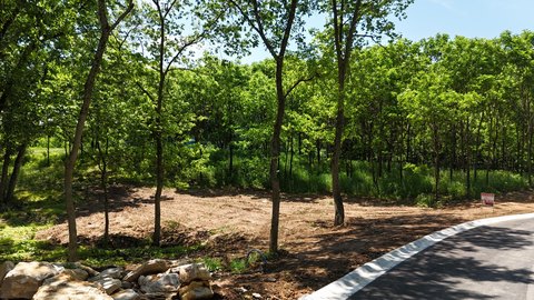 Land, Richmond, KY