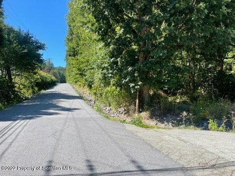 Serene 15+ Acre Parcel