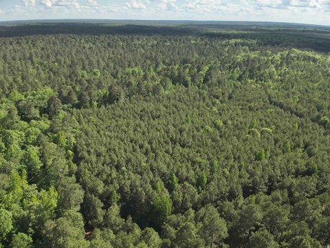 Hunting Land With Timber