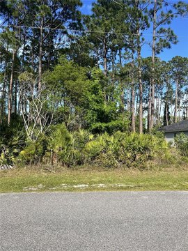 LAND - PALM COAST, FL
