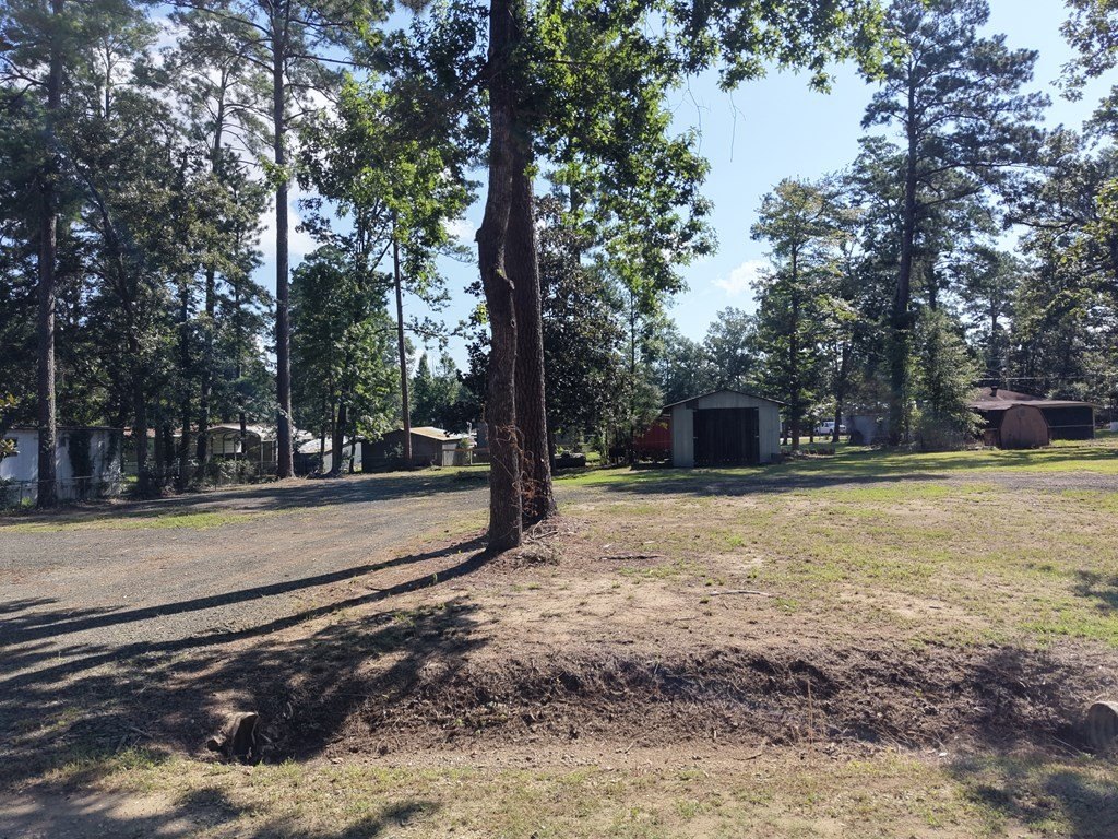 Picture 15