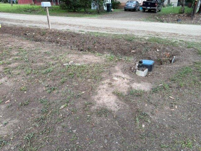 Picture 12