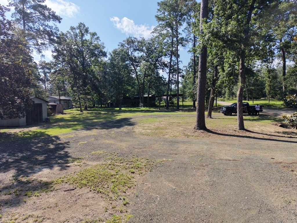 Picture 19
