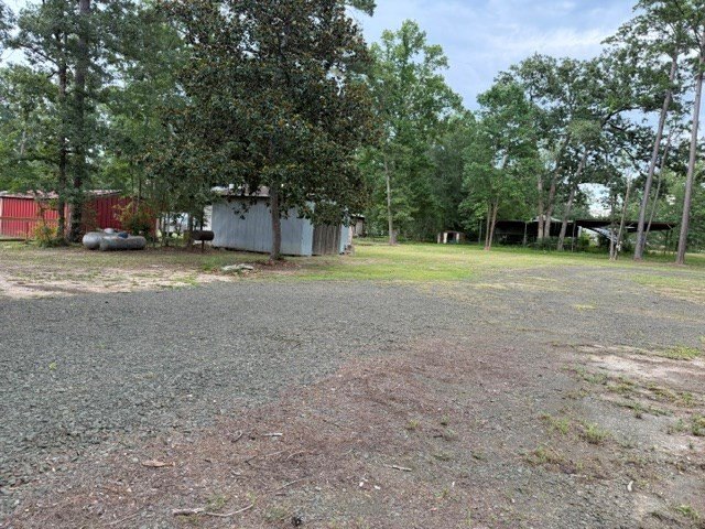 Picture 8