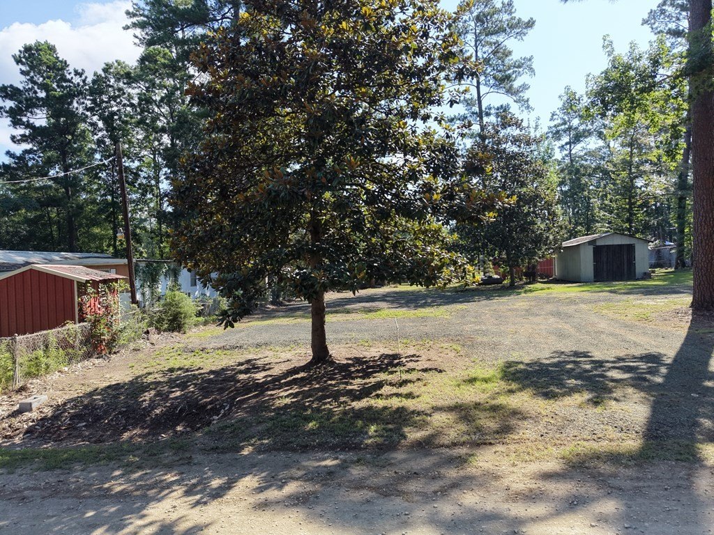 Picture 17
