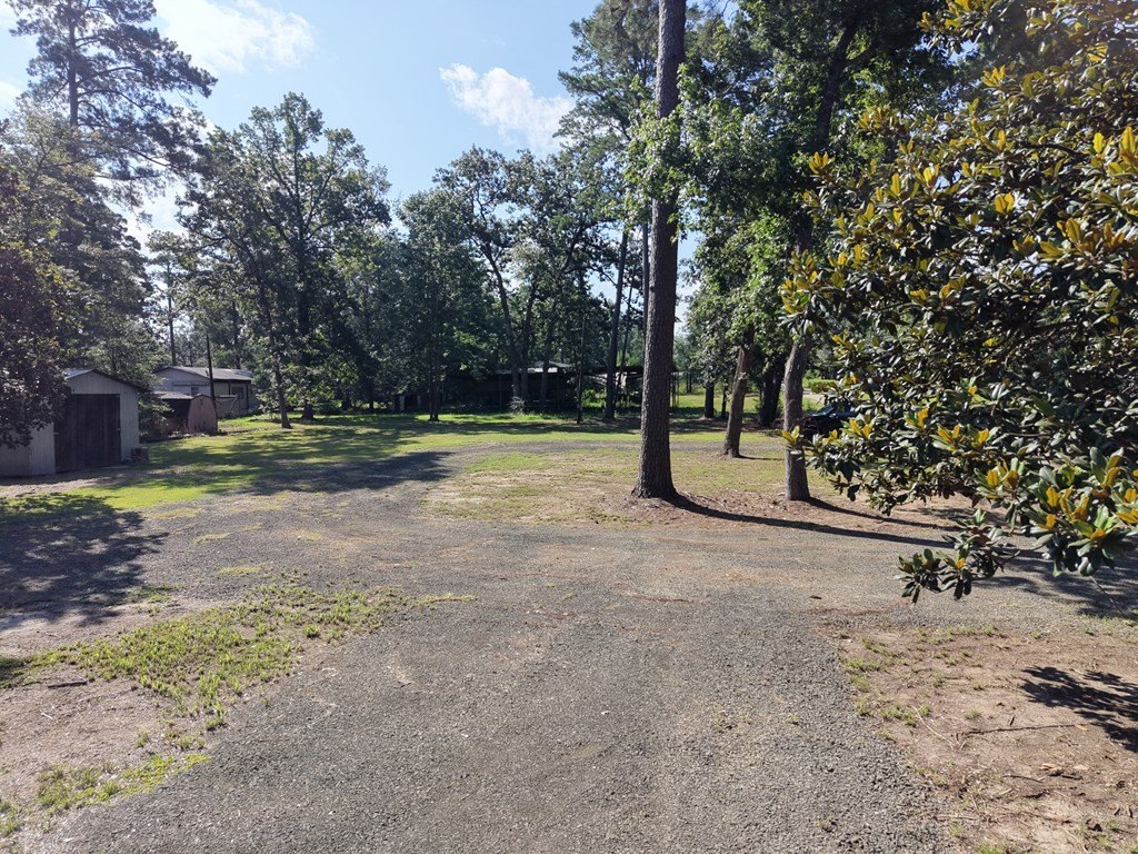Picture 18