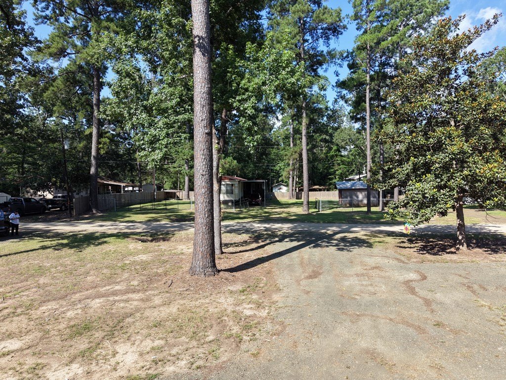 Picture 20