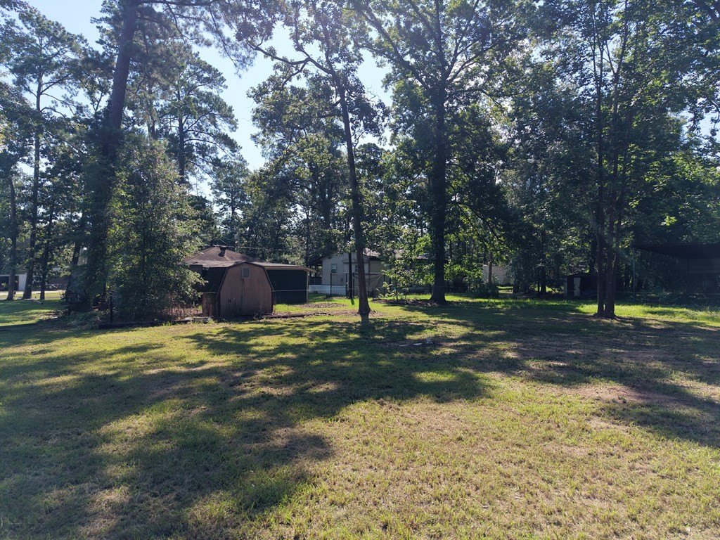 Picture 22