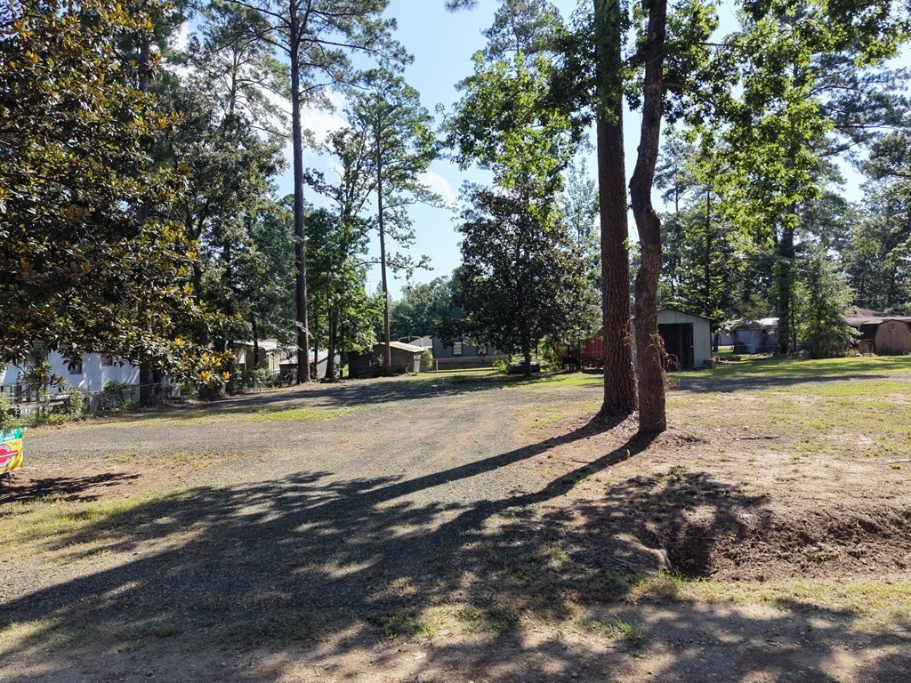 Picture 16