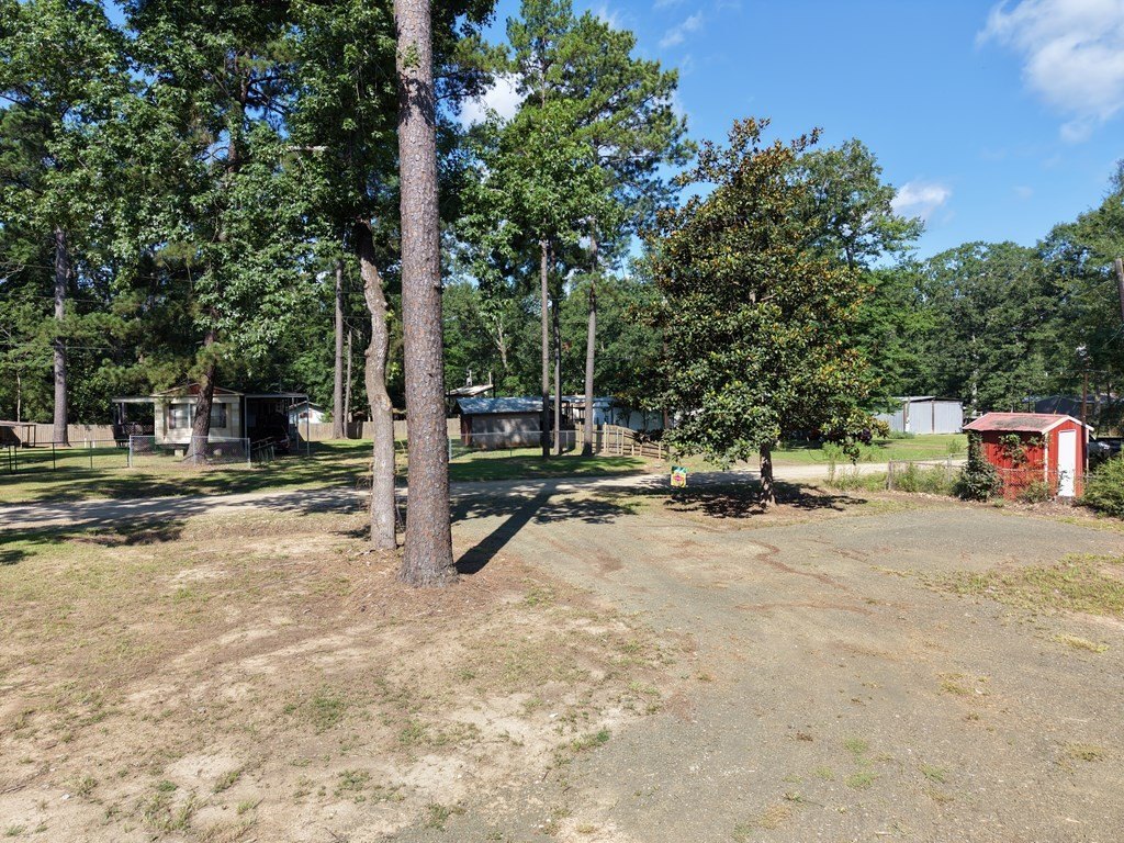 Picture 21