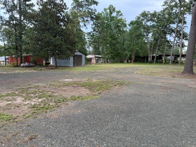 Picture 6