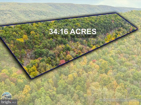 LAND - GREAT CACAPON, WV