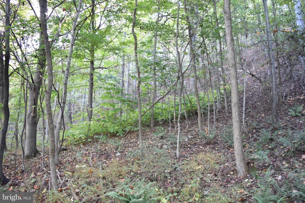 Picture 16