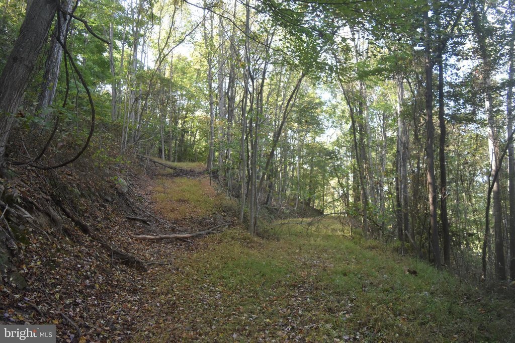 Picture 8