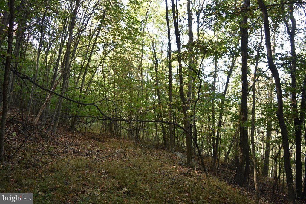 Picture 17