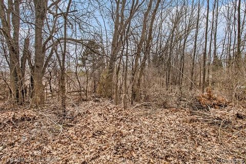 Vacant Land, Commerce Twp, MI