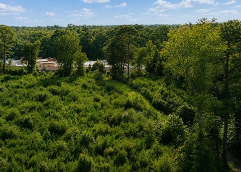 LAND - Moncks Corner, SC