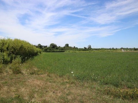 Commercial Land Near Highway 23