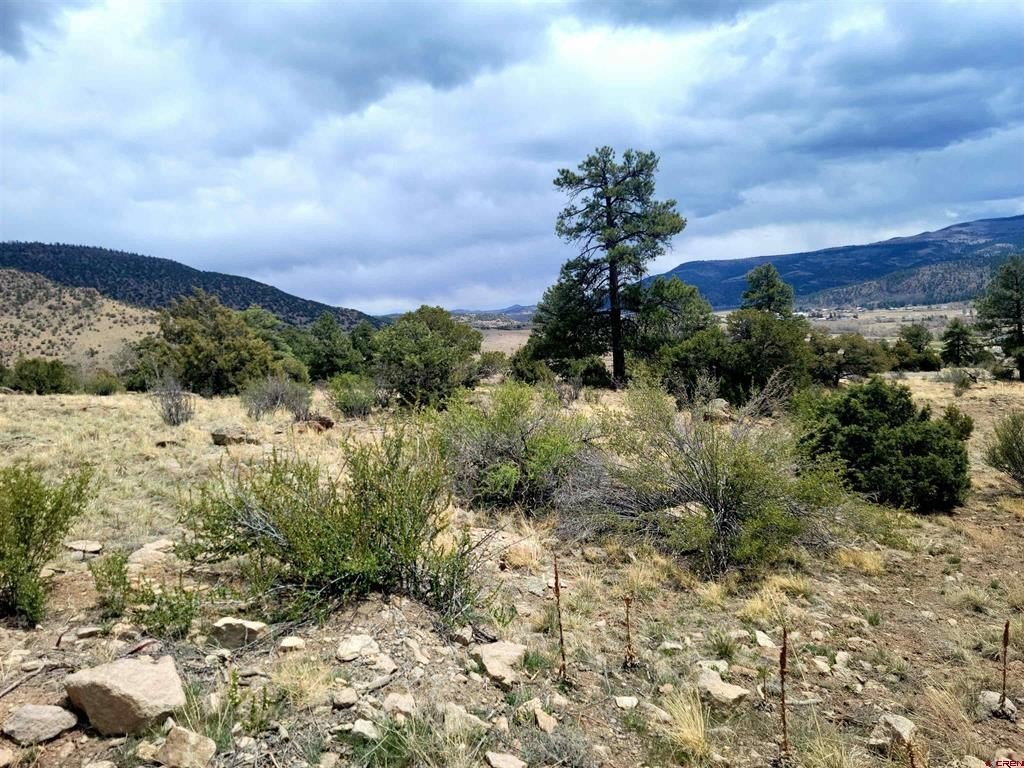 Land For Sale, South Fork