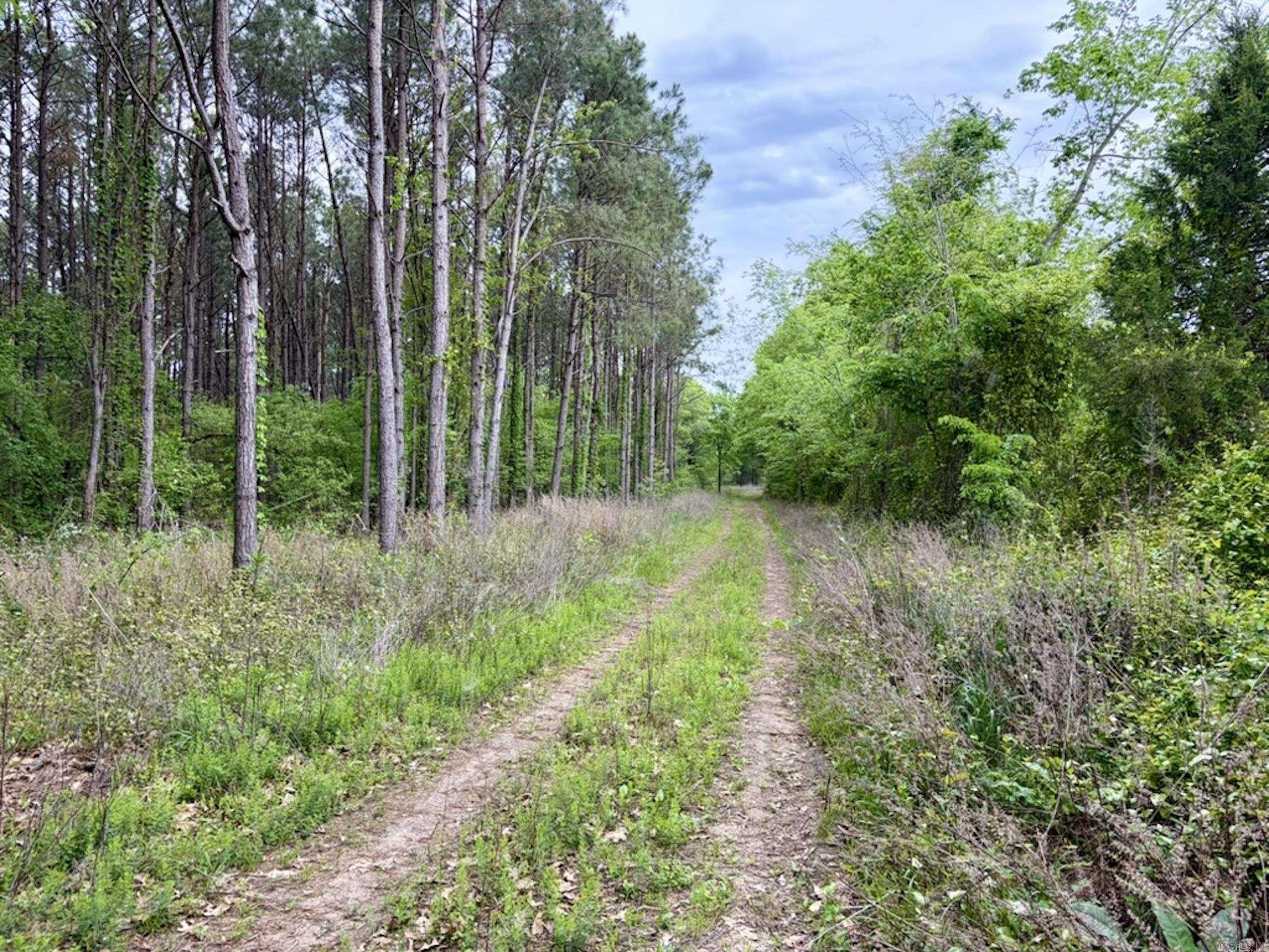 Secluded Land Near Centerville, Arkansas
