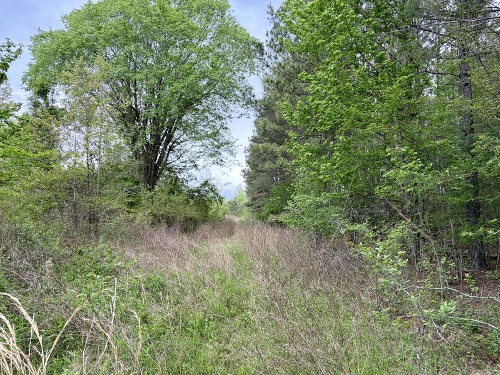 Picture 38
