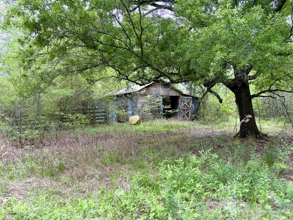 Picture 11