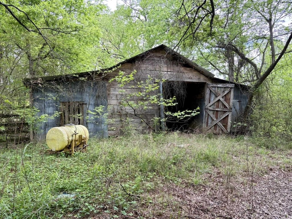 Picture 14