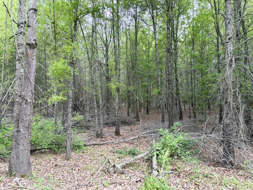 Picture 23