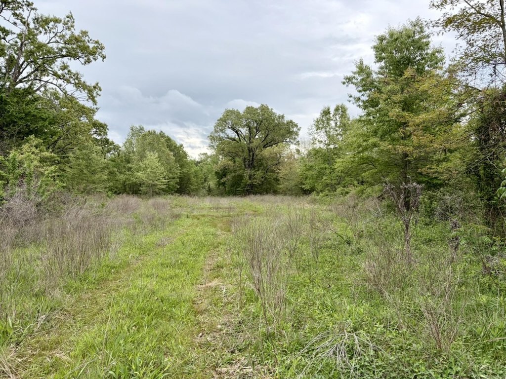 Picture 20