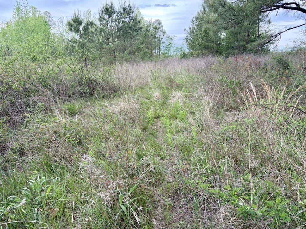 Picture 24