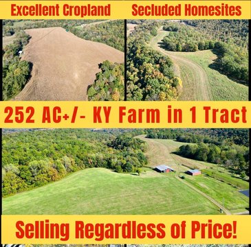 Cattle and Crop Farm