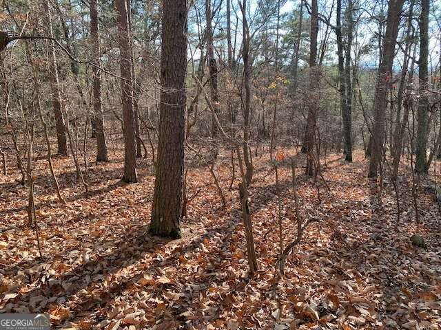 Jasper, GA Land with Views