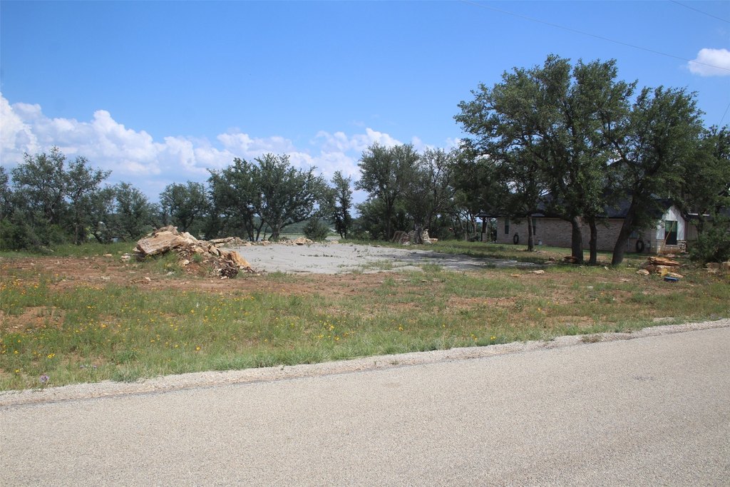 Picture 21