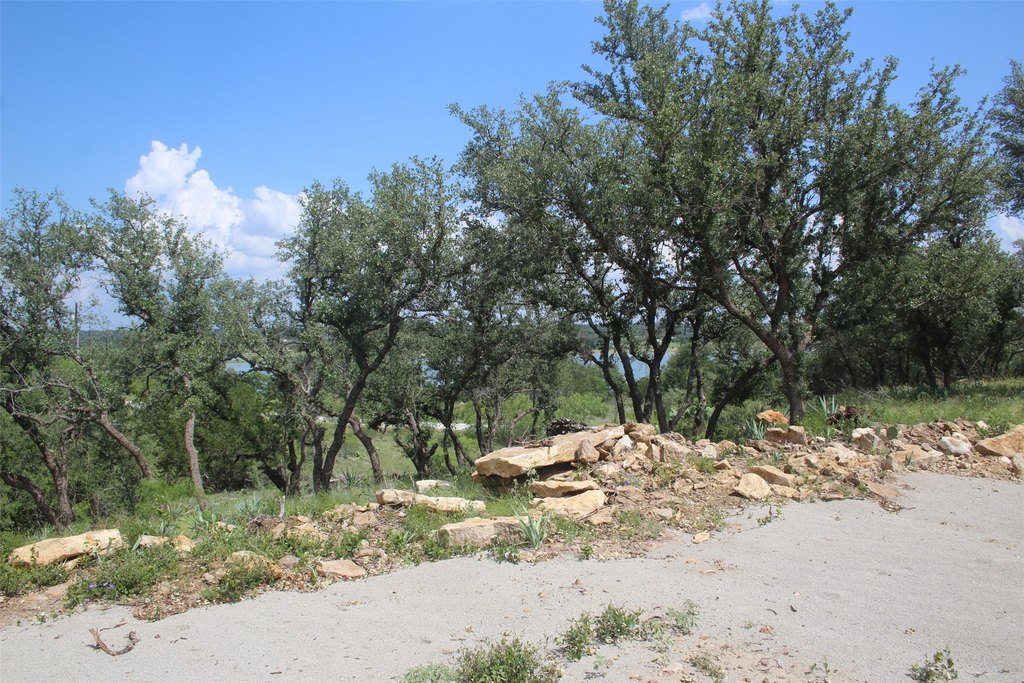 Picture 10