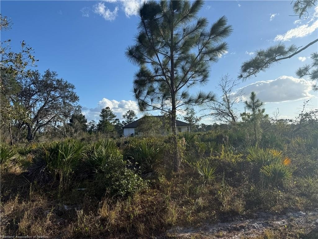 Picture 6