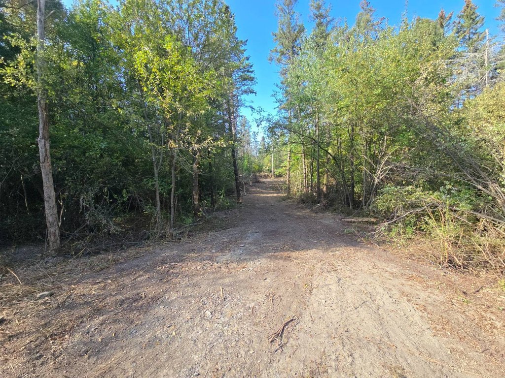 Picture 14