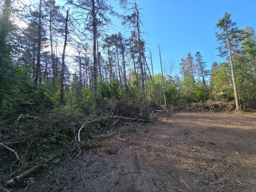 Picture 18