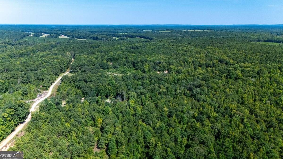 Greenville, GA Building Lot