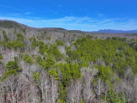 Unrestricted Land Tract with Creek