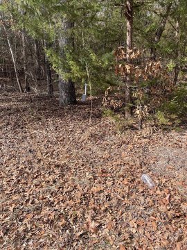 Murchison, TX Wooded Lots