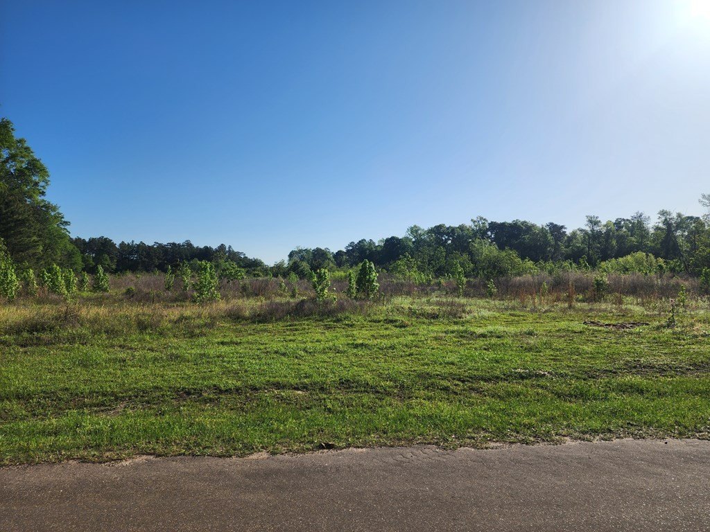 Picture 12