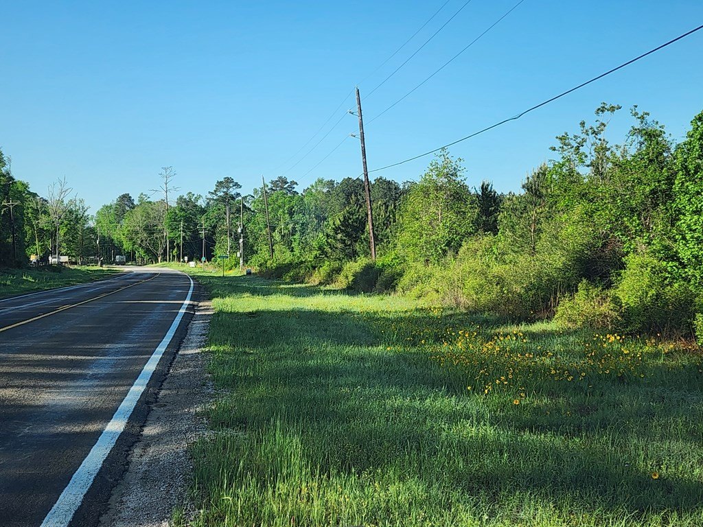 Picture 23
