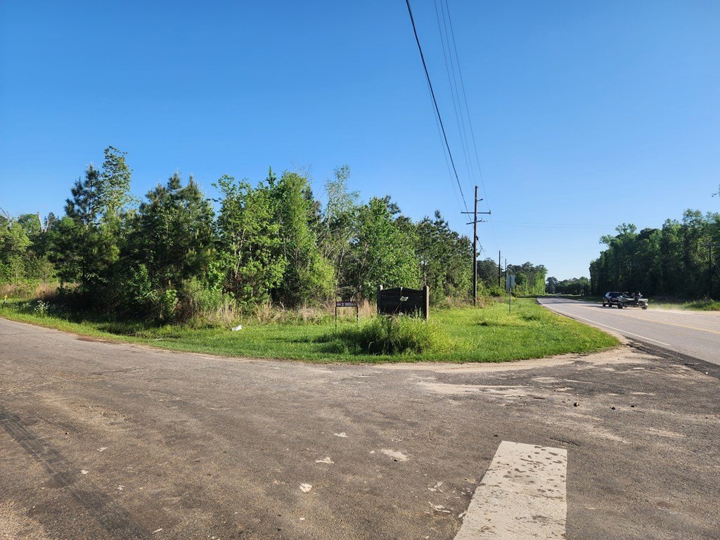 Picture 17